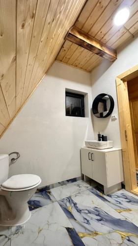 a bathroom with a toilet and a sink at A Frame Panoramic Dundy in Dealu Muntelui