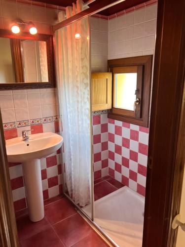 a bathroom with a shower and a sink at El Mirador del Sueve in Fano
