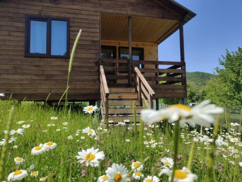 a cabin in a field of flowers at Qusarion - ქუსარიონი in Agara