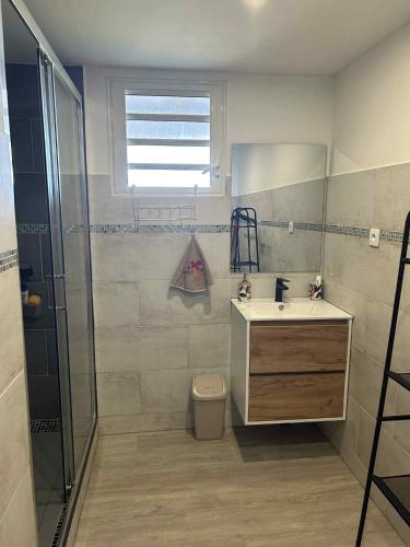 a bathroom with a sink and a shower and a toilet at Zèl O Van in Petite Île