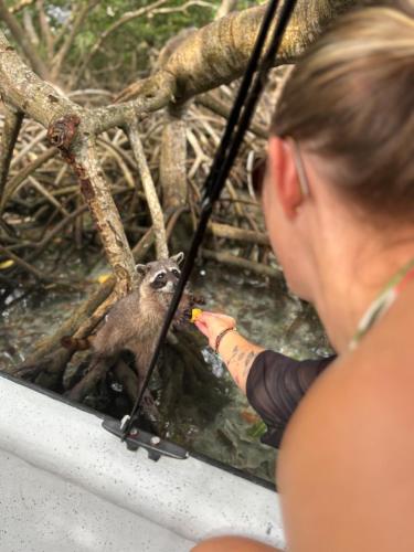 a woman feeding a small animal in a boat at Brisas del Mar Barú in Playa Blanca