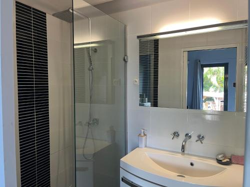 a bathroom with a sink and a glass shower at Latitude vue unique in Les Trois-Îlets