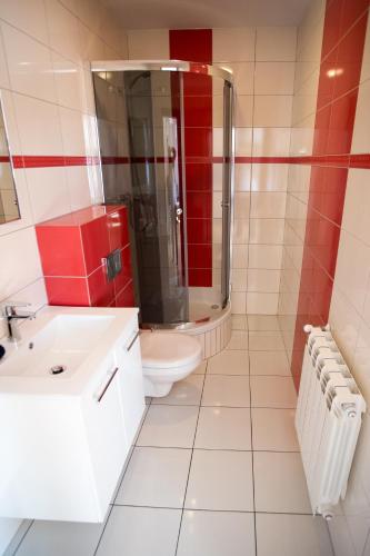 a bathroom with a toilet and a shower and a sink at Mazurskie Apartamenty in Pasym