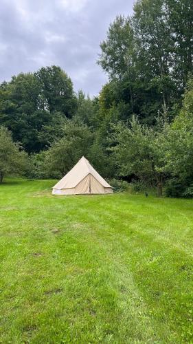 a tent in the middle of a grass field at Glamping Hive by Stream 