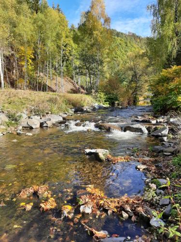 a river with rocks and trees in the background at Ferienwohnung Auf gut Glück, Lautenthal, Harz in Langelsheim