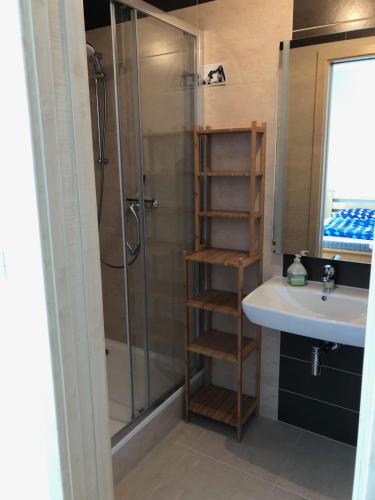 a bathroom with a shower and a sink at Penthouse mit Balkon in zentraler Lage in Pilsen in Plzeň