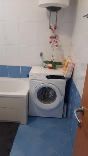 Apartment Viktoria