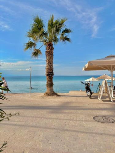 Summer sanctuary -180m from the sea in the center