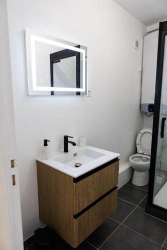 a bathroom with a sink and a mirror and a toilet at Le Soleil Cormeillais in Cormeilles-en-Parisis