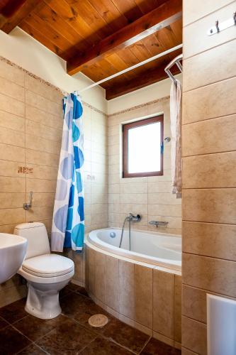 a bathroom with a toilet and a tub and a sink at Villa Eftichia in Stalos