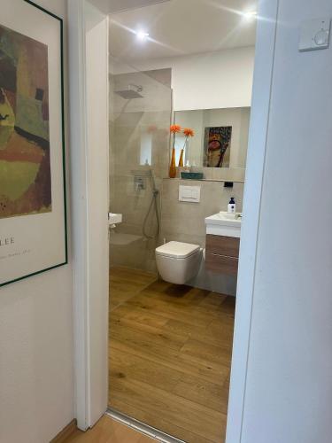 a bathroom with a toilet and a sink at Haus Seeblick Apartments mit PKW-Stellplatz am Haus in Überlingen