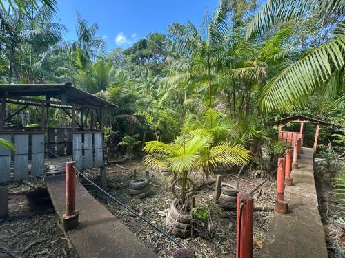 Un jardín con palmeras y una estación de tren. en Espaço Shekinah, en Engenho Araci