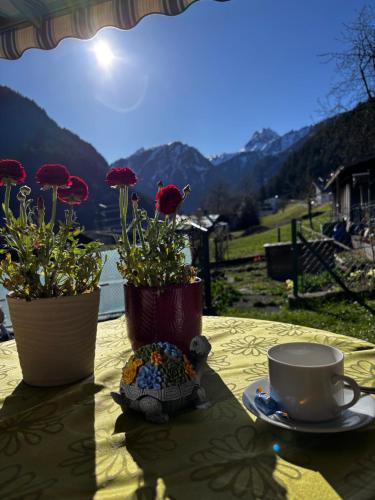 a table with two pots of flowers and a cup of coffee at Landhaus Lerch in Gaschurn