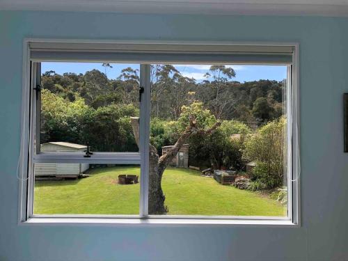 a window in a house looking out at a yard at Butterfield Beach House Stewart Island incl car in Oban