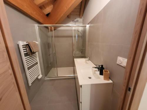 une salle de bain avec douche et lavabo dans l'établissement Appartement Chamois avec Wifi et Garage à Montgenèvre - FR-1-266-246, à Montgenèvre