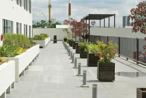 a row of potted plants on the roof of a building at Bonito condominio Zona Real in Guadalajara