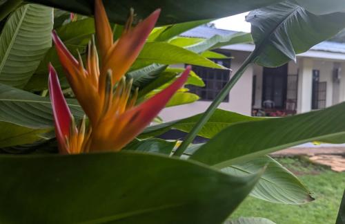 モシにあるI LOVE AFRICA VILLAsのギャラリーの写真