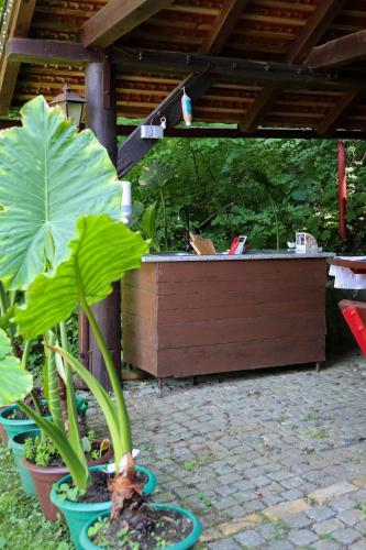 a group of plants in pots on a patio at Kuća za odmor vila Ružica in Orahovica