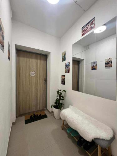 Gambar di galeri bagi Tiffany apartment di Karlovy Vary
