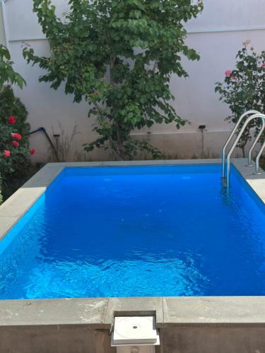 a blue swimming pool with a tree in the background at Private house, Own and magnificent villa, Apartments in Yerevan