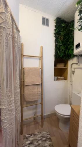 a bathroom with a toilet and a towel rack at Duplex Le Nusa in Perpignan