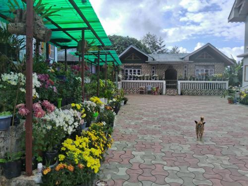 Φωτογραφία από το άλμπουμ του Kashyap Homestay σε Soreng