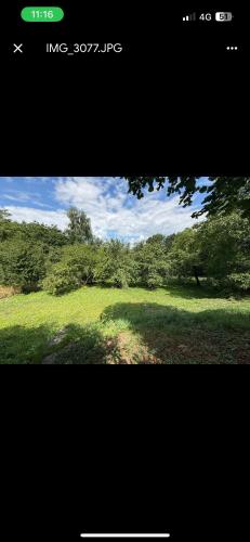 a view of a field of grass with trees at Chez Maria & Franck in Desingy