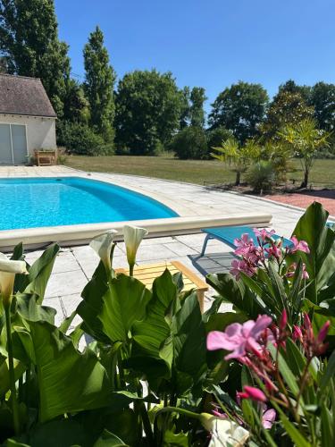 - une piscine dans une cour ornée de plantes dans l'établissement Domaine de Couilleuse, à Saint-Laurent-Nouan