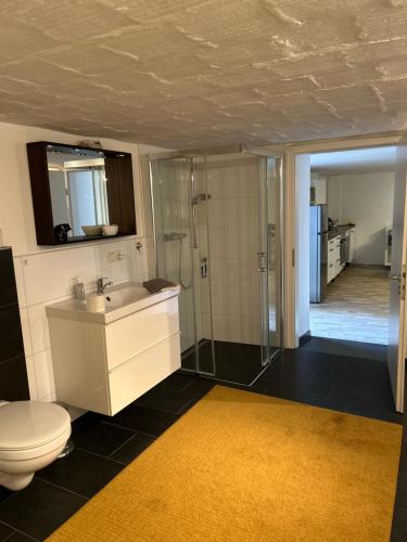 a bathroom with a toilet and a shower and a sink at Ruhige 1 Zimmerwohnung Souterrain in Bortfeld
