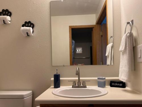 a bathroom with a sink and a mirror at Huckleberry's Hideaway in Boise