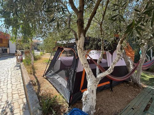 Φωτογραφία από το άλμπουμ του Garden Lake Camping σε Εξαμίλι