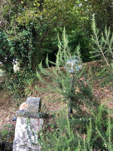 a stone bench sitting in the grass next to trees at Hotel La Quiete in Sinagra