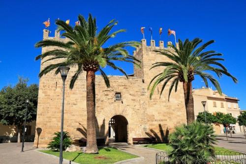 two palm trees in front of a stone building at Elegant Dream Home in Consell City, 1021 in Consell
