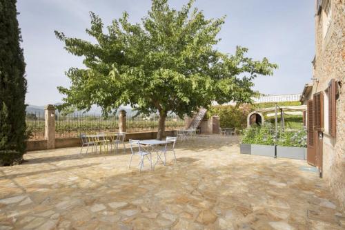a patio with a tree and a table and chairs at Elegant Dream Home in Consell City, 1021 in Consell