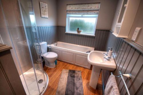 a bathroom with a toilet and a sink and a shower at Willan Cottage in Portrush