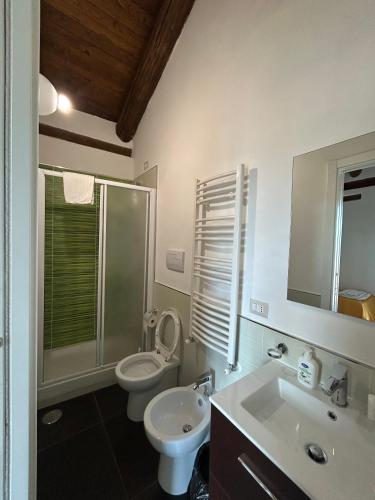 a bathroom with a toilet and a sink and a mirror at Affitti brevi FESAGI in Laurino