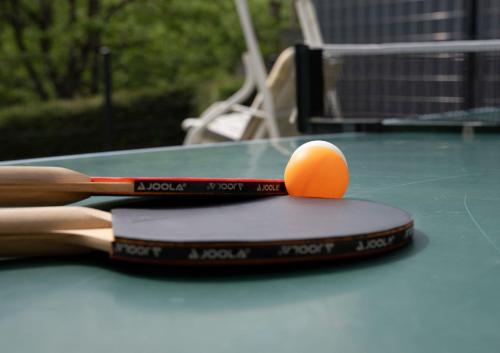Instalaciones para jugar ping pong en B&B Gösselsdorfer Seeblick o alrededores