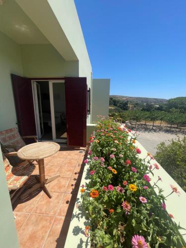 Fotografie z fotogalerie ubytování Vilana Studios v destinaci Kálamos Kythira