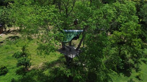 an overhead view of a tree with a bridge in it at Exciting Tree house and 2 Chalets, Spring valley farm stay Buttala, Okkampitiya 