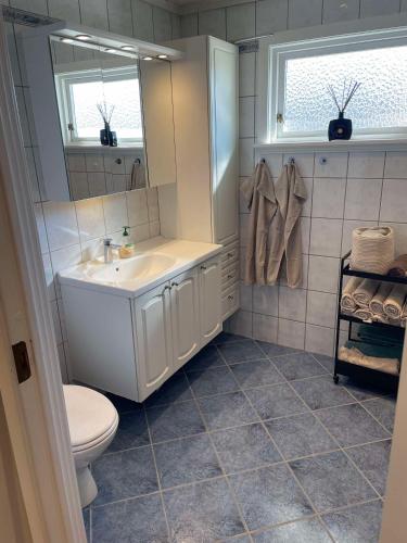 a bathroom with a sink and a toilet and a mirror at Modern 3 bedroom villa 10min from Oslo Airport Gardermoen in Jessheim
