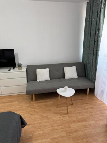 TV a/nebo společenská místnost v ubytování Danuvia Studio