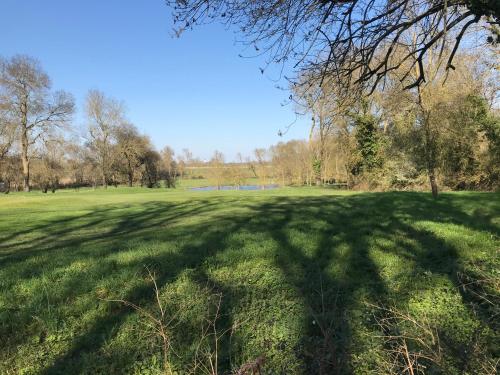 une grande ombre d'un arbre sur un champ dans l'établissement Manoir de l'Herbier, à Saint-Sulpice
