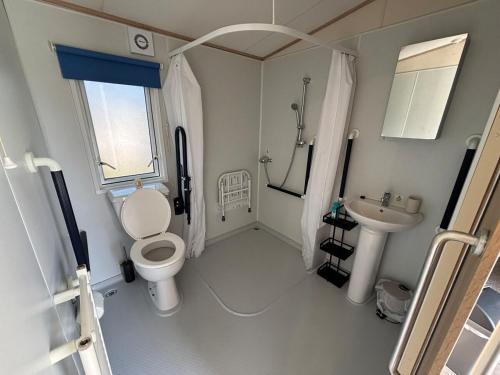 a bathroom with a toilet and a sink at Oak Village 64 - Grange Leisure disability caravan - pet friendly, wifi and ramped decking in Mablethorpe