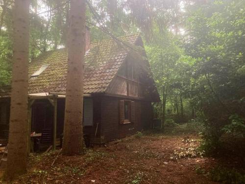 an old house in the middle of the forest at Idyllisch & ruhig - gemütliches Ferienhaus im Wald Hunde willkommen in Hatten