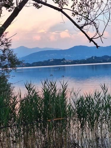 Φυσικό τοπίο κοντά σε αυτό το διαμέρισμα