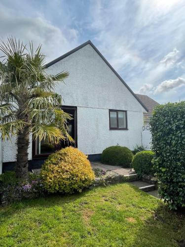 a white house with a palm tree in the yard at Sunny detached bungalow, Nr Looe in Saint Keyne