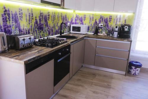 a kitchen with a sink and a stove top oven at Pensiunea Casa Lola in Bontida