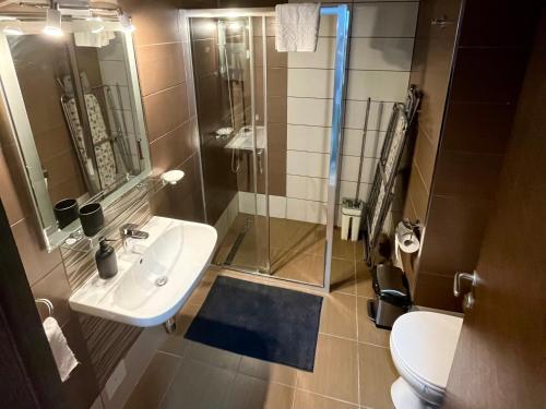 a bathroom with a sink and a shower and a toilet at Kalamata apartman, K Kompleks Jagodina in Trnava