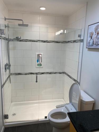a bathroom with a shower and a toilet at Beachbreeze Panoramic Oceanview 4BR 3BA Romantic Sunrise & Celestial Views in Mill Bay