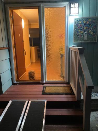 a dog is looking out the door of a house at Beachbreeze Panoramic Oceanview 4BR 3BA Romantic Sunrise & Celestial Views in Mill Bay